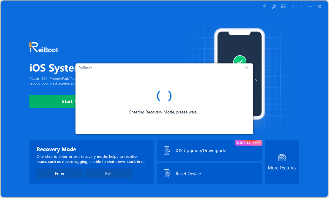 iphone get into recovery mode reiboot