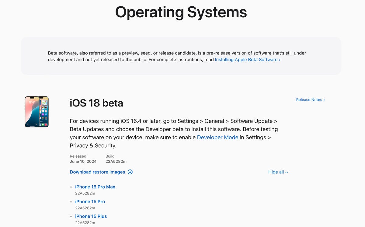 ios 18 developer profile