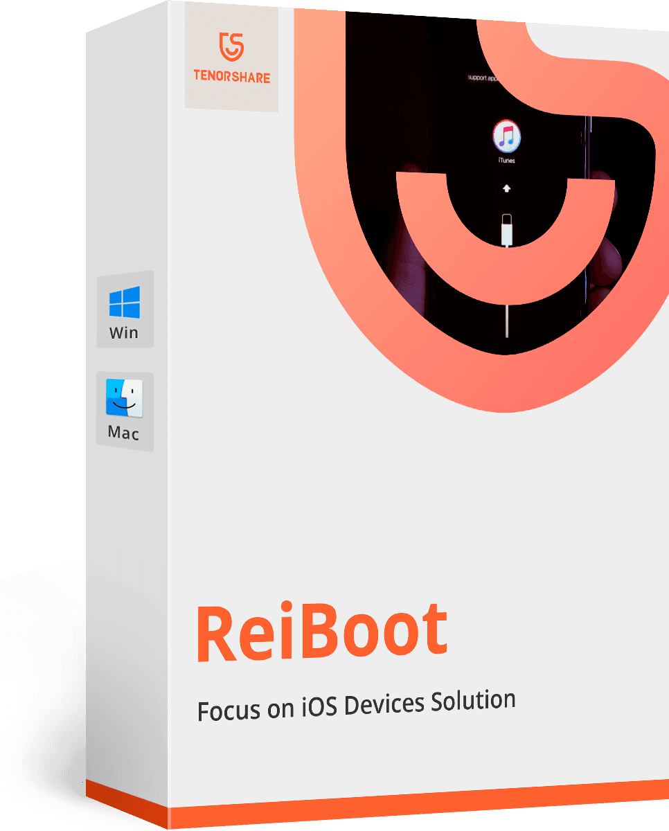 Tenorshare ReiBoot iOS system recovery box