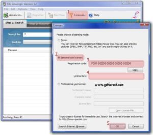 File Scavenger Crack With License Key Free Download Latest Version