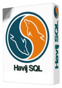 Havij Pro 1.18 Crack Plus License Key Full Version Download 2022
